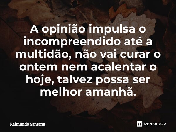 ⁠A opinião impulsa o incompreendido até a multidão, não vai curar o ontem nem acalentar o hoje, talvez possa ser melhor amanhã.... Frase de Raimundo Santana.