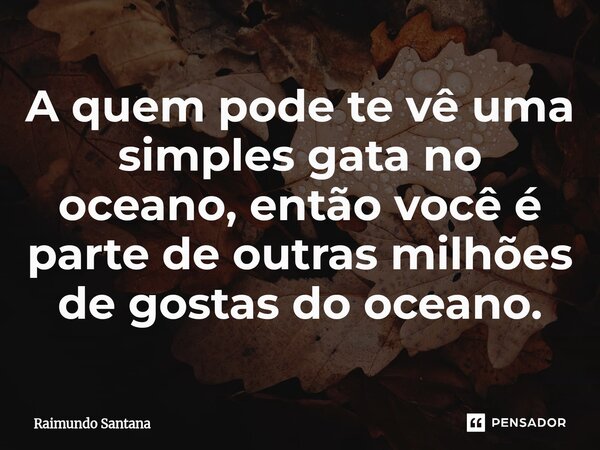 ⁠A quem pode te vê uma simples gata no oceano, então você é parte de outras milhões de gostas do oceano.... Frase de Raimundo Santana.