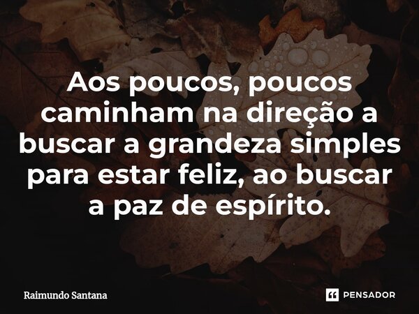 ⁠Aos poucos, poucos caminham na direção a buscar a grandeza simples para estar feliz, ao buscar a paz de espírito.... Frase de Raimundo Santana.