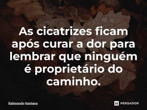 ⁠As cicatrizes ficam após curar a dor para lembrar que ninguém é proprietário do caminho.... Frase de Raimundo Santana.