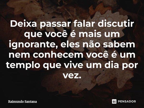 ⁠Deixa passar falar discutir que você é mais um ignorante, eles não sabem nem conhecem você é um templo que vive um dia por vez.... Frase de Raimundo Santana.