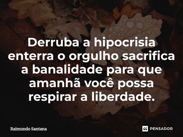 ⁠Derruba a hipocrisia enterra o orgulho sacrifica a banalidade para que amanhã você possa respirar a liberdade.... Frase de Raimundo Santana.