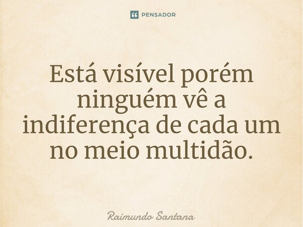 ⁠Está visível porém ninguém vê a indiferença de cada um no meio multidão.... Frase de Raimundo Santana.