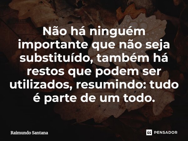 ⁠Não há ninguém importante que não seja substituído, também há restos que podem ser utilizados, resumindo: tudo é parte de um todo.... Frase de Raimundo Santana.