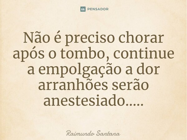 ⁠Não é preciso chorar após o tombo, continue a empolgação a dor arranhões serão anestesiado........ Frase de Raimundo Santana.