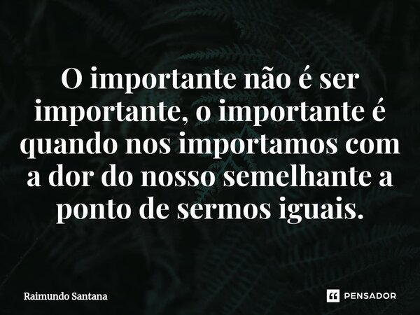 ⁠O importante não é ser importante, o importante é quando nos importamos com a dor do nosso semelhante a ponto de sermos iguais.... Frase de Raimundo Santana.
