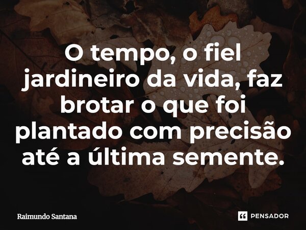 ⁠O tempo, o fiel jardineiro da vida, faz brotar o que foi plantado com precisão até a última semente.... Frase de Raimundo Santana.
