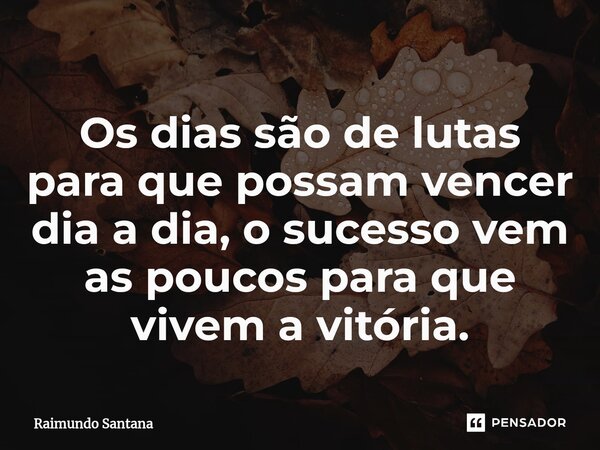 ⁠Os dias são de lutas para que possam vencer dia a dia, o sucesso vem as poucos para que vivem a vitória.... Frase de Raimundo Santana.