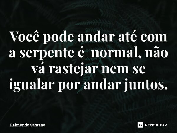 ⁠Você pode andar até com a serpente é normal, não vá rastejar nem se igualar por andar juntos.... Frase de Raimundo Santana.
