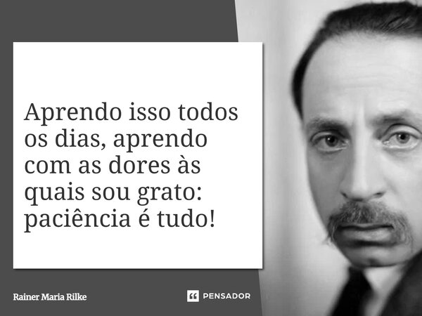 Aprendo isso todos os dias, aprendo com as dores às quais sou grato: paciência é tudo!... Frase de Rainer Maria Rilke.