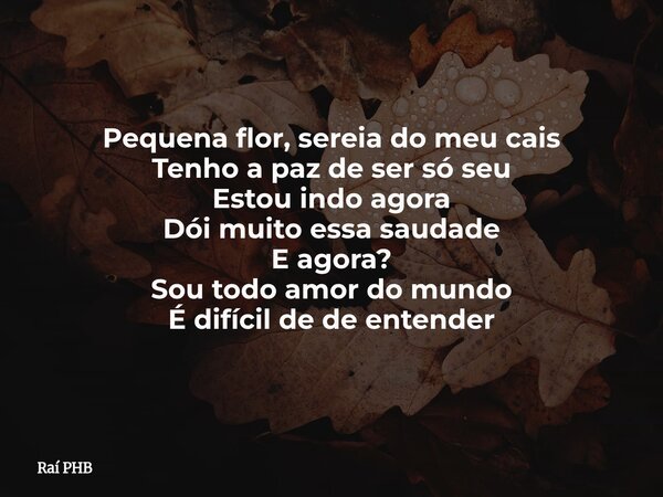 Pequena flor, sereia do meu cais Tenho a paz de ser só seu Estou indo agora Dói muito essa saudade E agora? Sou todo amor do mundo É difícil de de entender... Frase de Raí PHB.