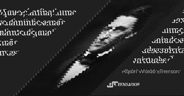 O que é, afinal, uma erva daninha senão uma planta da qual ainda se não descobriram as virtudes?... Frase de Ralph Waldo Emerson.