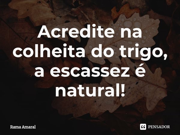 ⁠Acredite na colheita do trigo, a escassez é natural!... Frase de Rama Amaral.