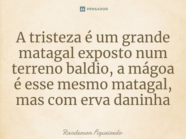 ⁠A tristeza é um grande matagal exposto num terreno baldio, a mágoa é esse mesmo matagal, mas com erva daninha⁠... Frase de Randerson Figueiredo.