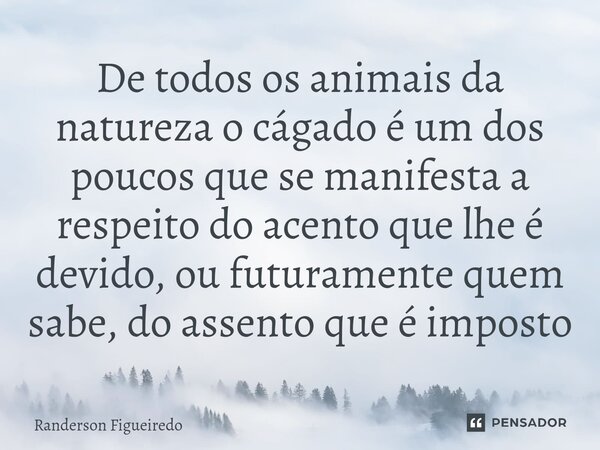 De todos os animais da natureza o cágado é um dos poucos que se manifesta a respeito do acento que lhe é devido, ou futuramente quem sabe, do assento que é impo... Frase de Randerson Figueiredo.