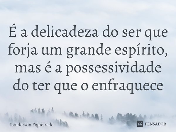 ⁠É a delicadeza do ser que forja um grande espírito, mas é a possessividade do ter que o enfraquece... Frase de Randerson Figueiredo.