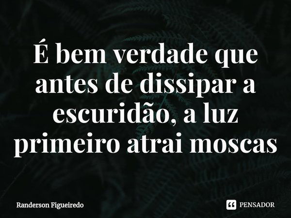 É bem verdade que antes de dissipar a escuridão, a luz primeiro atrai moscas⁠... Frase de Randerson Figueiredo.