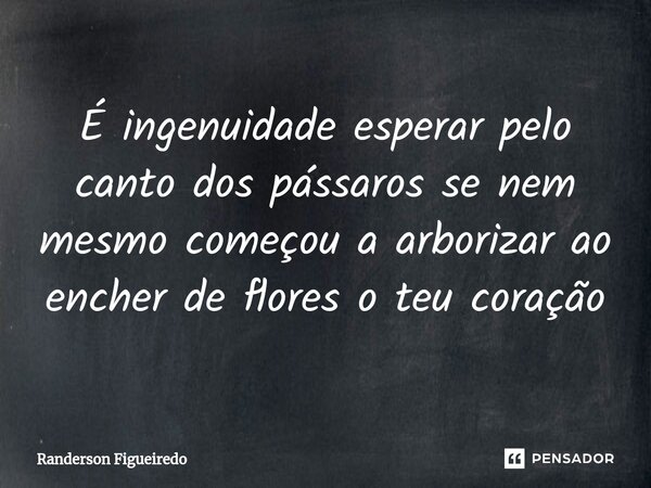 É ingenuidade esperar pelo canto dos pássaros se nem mesmo começou a arborizar ao encher de flores o teu coração... Frase de Randerson Figueiredo.