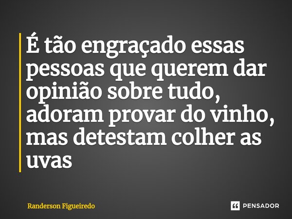 ⁠É tão engraçado essas pessoas que querem dar opinião sobre tudo, adoram provar do vinho, mas detestam colher as uvas... Frase de Randerson Figueiredo.