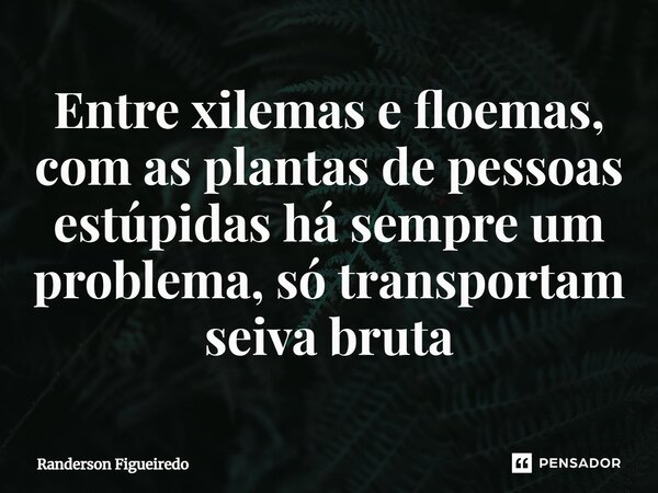 ⁠Entre xilemas e floemas, com as plantas de pessoas estúpidas há sempre um problema, só transportam seiva bruta... Frase de Randerson Figueiredo.