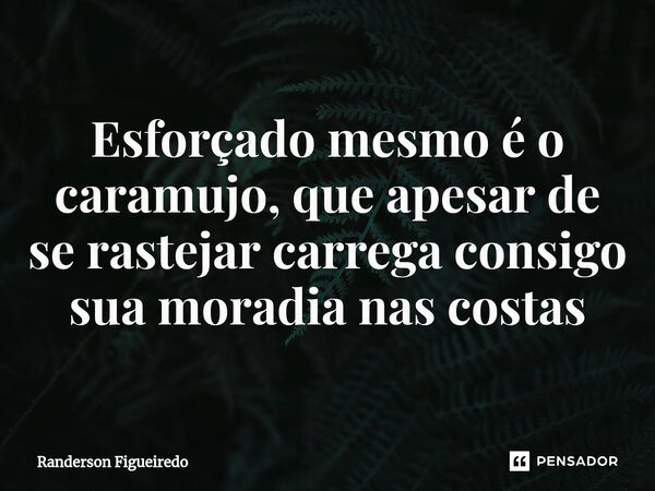 ⁠Esforçado mesmo é o caramujo, que apesar de se rastejar carrega consigo sua moradia nas costas... Frase de Randerson Figueiredo.