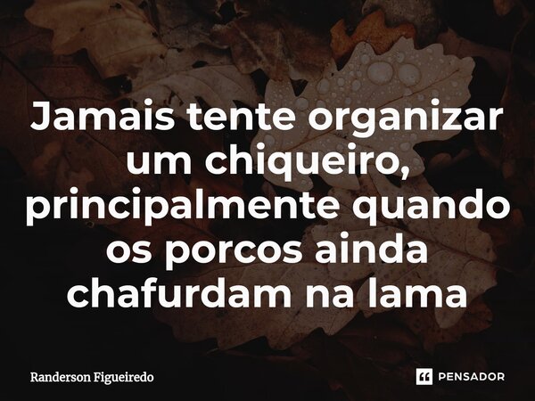 ⁠Jamais tente organizar um chiqueiro, principalmente quando os porcos ainda chafurdam na lama... Frase de Randerson Figueiredo.