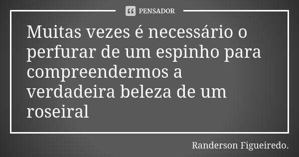 Muitas vezes é necessário o perfurar de um espinho para compreendermos a verdadeira beleza de um roseiral... Frase de Randerson Figueiredo.