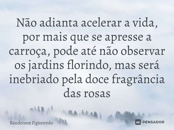 Não adianta acelerar a vida, por mais que se ⁠apresse a carroça, pode até não observar os jardins florindo, mas será inebriado pela doce fragrância das rosas... Frase de Randerson Figueiredo.