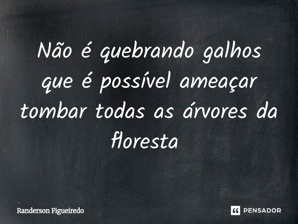 Não é quebrando galhos que é possível ameaçar tombar todas as árvores da floresta ⁠... Frase de Randerson Figueiredo.
