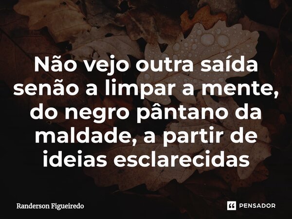 ⁠Não vejo outra saída senão a limpar a mente, do negro pântano da maldade, a partir de ideias ⁠esclarecidas... Frase de Randerson Figueiredo.