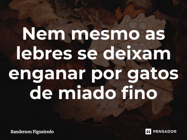 Nem mesmo as lebres se deixam enganar por gatos de miado fino⁠... Frase de Randerson Figueiredo.