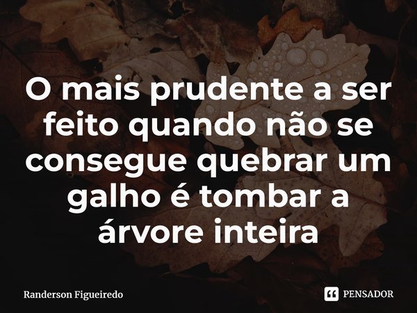 ⁠O mais prudente a ser feito quando não se consegue quebrar um galho é tombar a árvore inteira... Frase de Randerson Figueiredo.