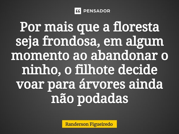 Por mais que a floresta seja frondosa, em algum momento ao abandonar o ninho, o filhote decide voar para árvores ainda não podadas⁠... Frase de Randerson Figueiredo.
