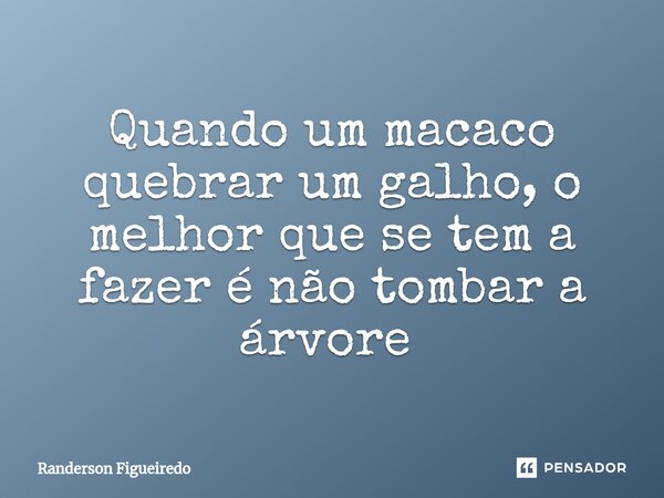 Quando um macaco quebrar um galho, o melhor que se tem a fazer é não tombar a árvore ⁠... Frase de Randerson Figueiredo.