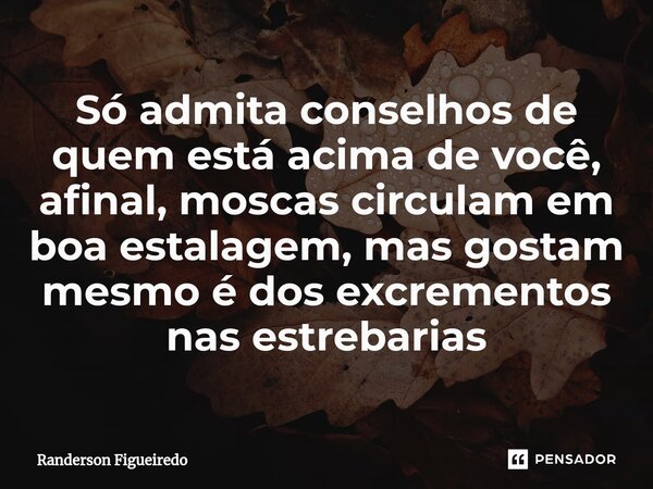 Só admita conselhos de quem está acima de você, afinal, moscas ⁠circulam em boa estalagem, mas gostam mesmo é dos excrementos nas estrebarias... Frase de Randerson Figueiredo.