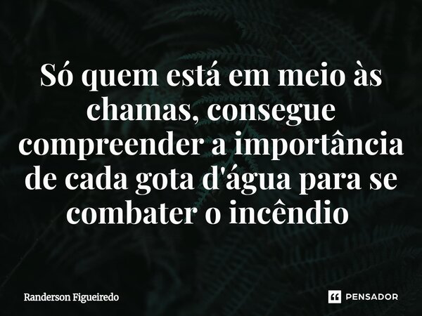 Só quem está em meio às chamas, consegue compreender a importância de cada gota d'água para se combater o incêndio ⁠... Frase de Randerson Figueiredo.