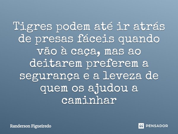 Tigres podem até ir atrás de presas fáceis quando vão à caça, mas ao deitarem preferem a segurança e a leveza de quem os ajudou a caminhar... Frase de Randerson Figueiredo.