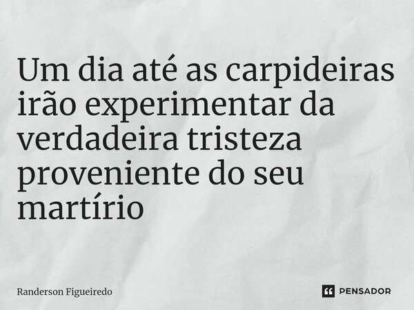 Um dia até as carpideiras irão experimentar da verdadeira tristeza prove⁠niente do seu martírio... Frase de Randerson Figueiredo.