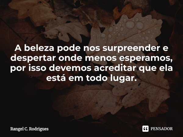 ⁠A beleza pode nos surpreender e despertar onde menos esperamos, por isso devemos acreditar que ela está em todo lugar.... Frase de Rangel C. Rodrigues.