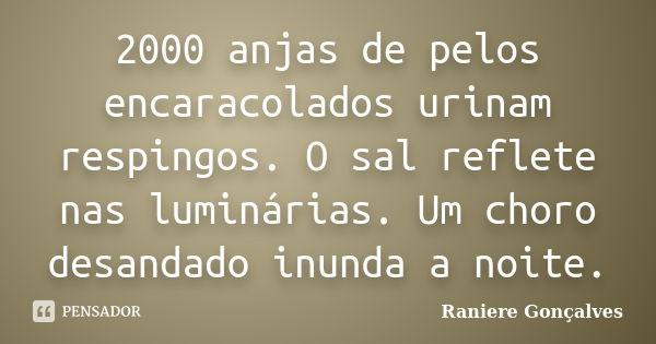 2000 anjas de pelos encaracolados urinam respingos. O sal reflete nas luminárias. Um choro desandado inunda a noite.... Frase de Raniere Gonçalves.