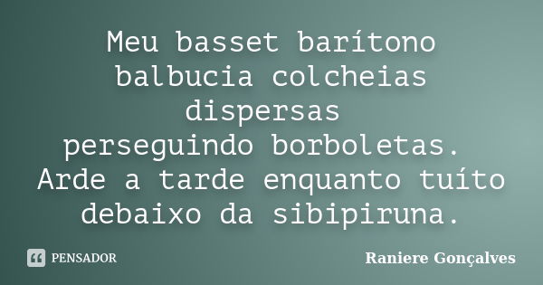 Meu basset barítono balbucia colcheias dispersas perseguindo borboletas. Arde a tarde enquanto tuíto debaixo da sibipiruna.... Frase de Raniere Gonçalves.