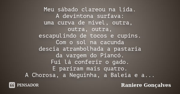 Meu sábado clareou na lida. A devintona surfava: uma curva de nível, outra, outra, outra, escapulindo de tocos e cupins. Com o sol na cacunda descia atrambolhad... Frase de Raniere Gonçalves.