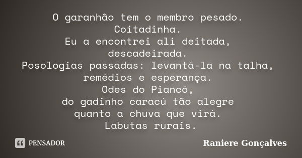 O garanhão tem o membro pesado. Coitadinha. Eu a encontrei ali deitada, descadeirada. Posologias passadas: levantá-la na talha, remédios e esperança. Odes do Pi... Frase de Raniere Gonçalves.