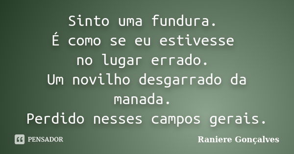 Sinto uma fundura. É como se eu estivesse no lugar errado. Um novilho desgarrado da manada. Perdido nesses campos gerais.... Frase de Raniere Gonçalves.