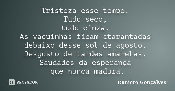 Tristeza esse tempo. Tudo seco, tudo cinza. As vaquinhas ficam atarantadas debaixo desse sol de agosto. Desgosto de tardes amarelas. Saudades da esperança que n... Frase de Raniere Gonçalves.