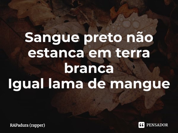 ⁠Sangue preto não estanca em terra branca
Igual lama de mangue... Frase de RAPadura (rapper).