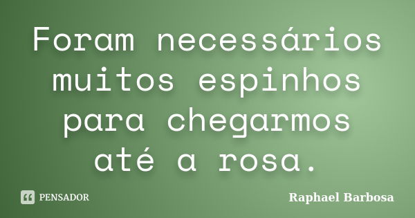 Foram necessários muitos espinhos para chegarmos até a rosa.... Frase de Raphael Barbosa.