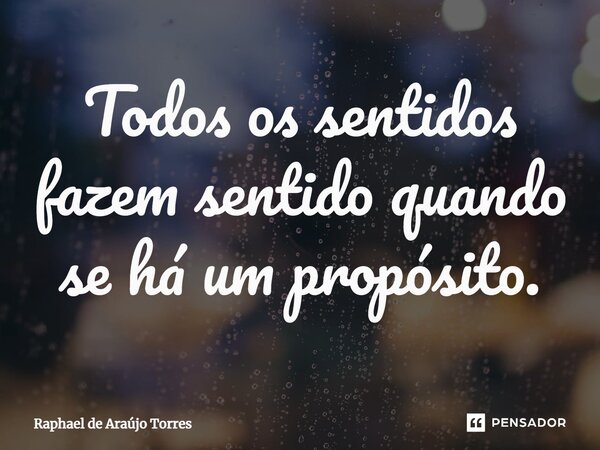 ⁠Todos os sentidos fazem sentido quando se há um propósito.... Frase de Raphael de Araújo Torres.