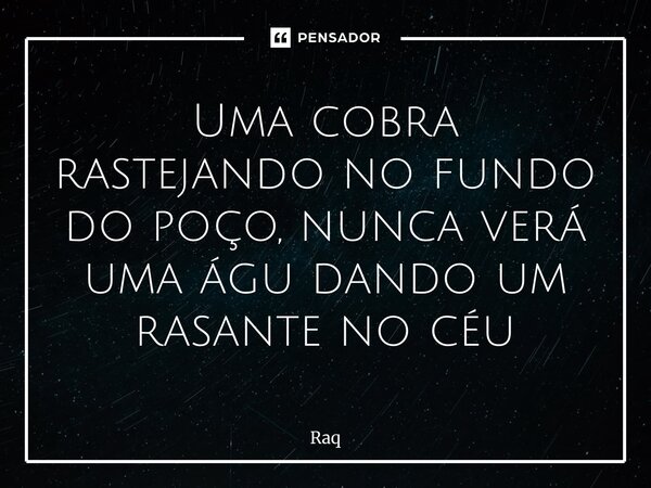 ⁠⁠Uma cobra rastejando no fundo do poço, nunca verá uma águia dando um rasante no céu... Frase de Raquel Sutel.