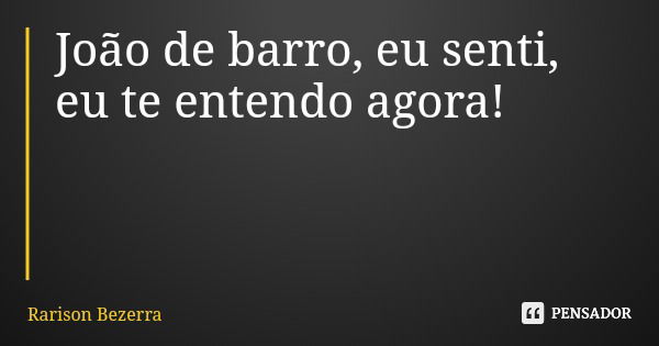 João de barro, eu senti, eu te entendo agora!... Frase de Rarison Bezerra.
